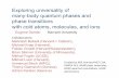 Exploring universality of many-body quantum phases and ...
