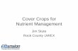 Cover Crops for Nutrient Management