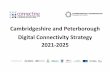 Cambridgeshire and Peterborough Digital Connectivity ...