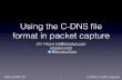 Using the C-DNS ﬁle format in packet capture