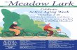 The Meadow Lark - rmeadows.com