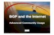 BGP and the Internet - IPsyn