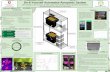 Do-It-Yourself Automated Aeroponic System