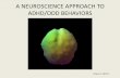 A NEUROSCIENCE APPROACH TO ADHD/ODD BEHAVIORS