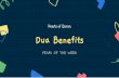 Pearls of Quran Dua Benefits