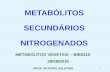 METABÓLITOS SECUNDÁRIOS NITROGENADOS