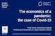 The economics of a pandemic: the case of Covid-19