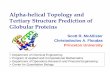 Alpha-helical Topology and Tertiary Structure Prediction ...