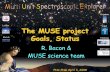 The MUSE project Goals, Status