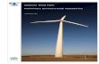100917 Collector Wind Farm Preliminary Environmental ...