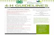 4H GUIDELINES
