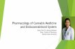 Pharmacology of Cannabis Medicine and Endocannabinoid System