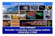 Large-Scale Visual Analysis