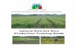 Upland Rain-fed Rice Production Training Guide Upland Rain ...