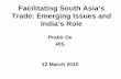 Facilitating South Asia’s Trade: Emerging Issues and India ...