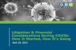 Litigation & Financial Considerations During COVID: How It ...