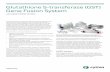 Glutathione S-transferase (GST) Gene Fusion System