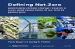 Defining Net-Zero