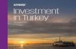 Investment in Turkey - 2020
