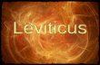 Leviticus - ScriptureWorkshop