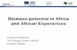 Biomass potential in Africa and African Experiences