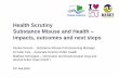 Health Scrutiny Substance Misuse and Health impacts ...