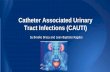 Catheter Associated Urinary Tract Infections (CAUTI)