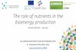 The role of nutrients in the bioenergy production