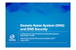 Domain Name System (DNS) and DNS Security
