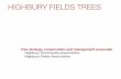 HIGHBURY FIELDS TREES