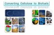 Converting Cellulose to Biofuels - CHERIC