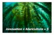 Innovaon + Mariculture