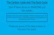 The Carbon Cycle and The Rock Cycle - Wadebridge School