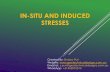 IN-SITU AND INDUCED STRESSES