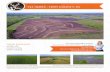 Buyers, Sellers & Land Connected 133 ACRES - LYON COUNTY, KS