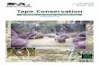 Tapir Conservation