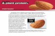 nuts & plant protein