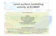 Land surface modelling activity at ECMWF