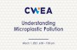 Understanding Microplastic Pollution