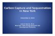 Carbon Capture and Sequestration in New York