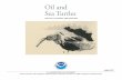 Oil and Sea Turtles