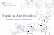 Genes to Proteins to Antibodies