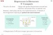 Bioprocesses in Bioreactors Transports