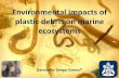 Environmental impacts of plastic debris on marine ecosystems