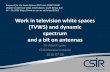 Work in television white spaces (TVWS) and dynamic ...