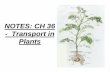 NOTES: CH 36 - Transport in Plants