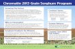 Chromatin 2013 Grain Sorghum Program - Chromatin Inc
