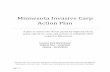 Minnesota Invasive Carp Action Plan