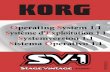 KORG SV-1 Upgrade 1.1 (EFGI) - Korg Professional Arranger