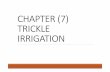 CHAPTER (77)) TRICKLE IRRIGATION